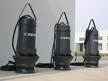 Pompa Aliran Campuran Submersible 800QH