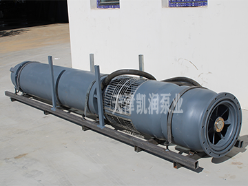 Submersible Axial Flow Pump